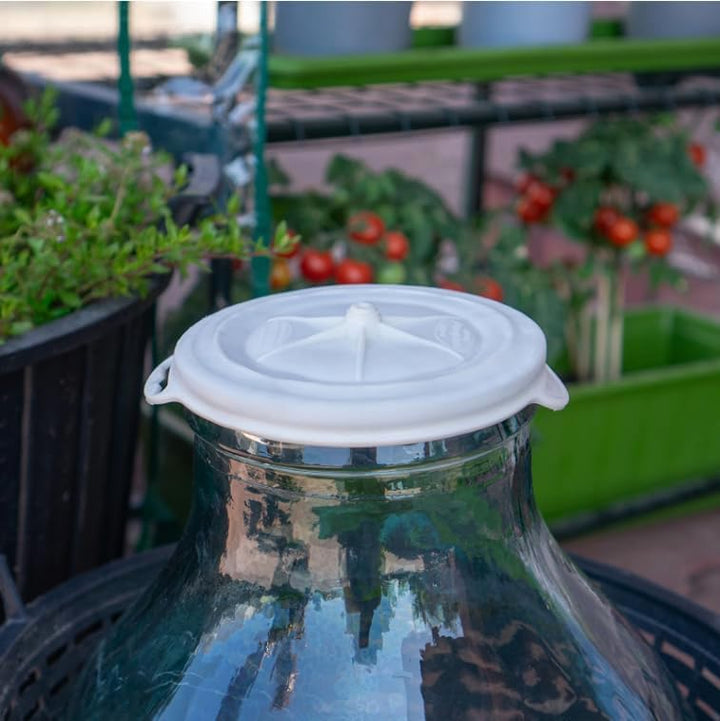 Glas-Demijohn Ballon in Kunststoffkorb Aufbewahrung Weinherstellung Weithals Ballon Fermenter (10 l