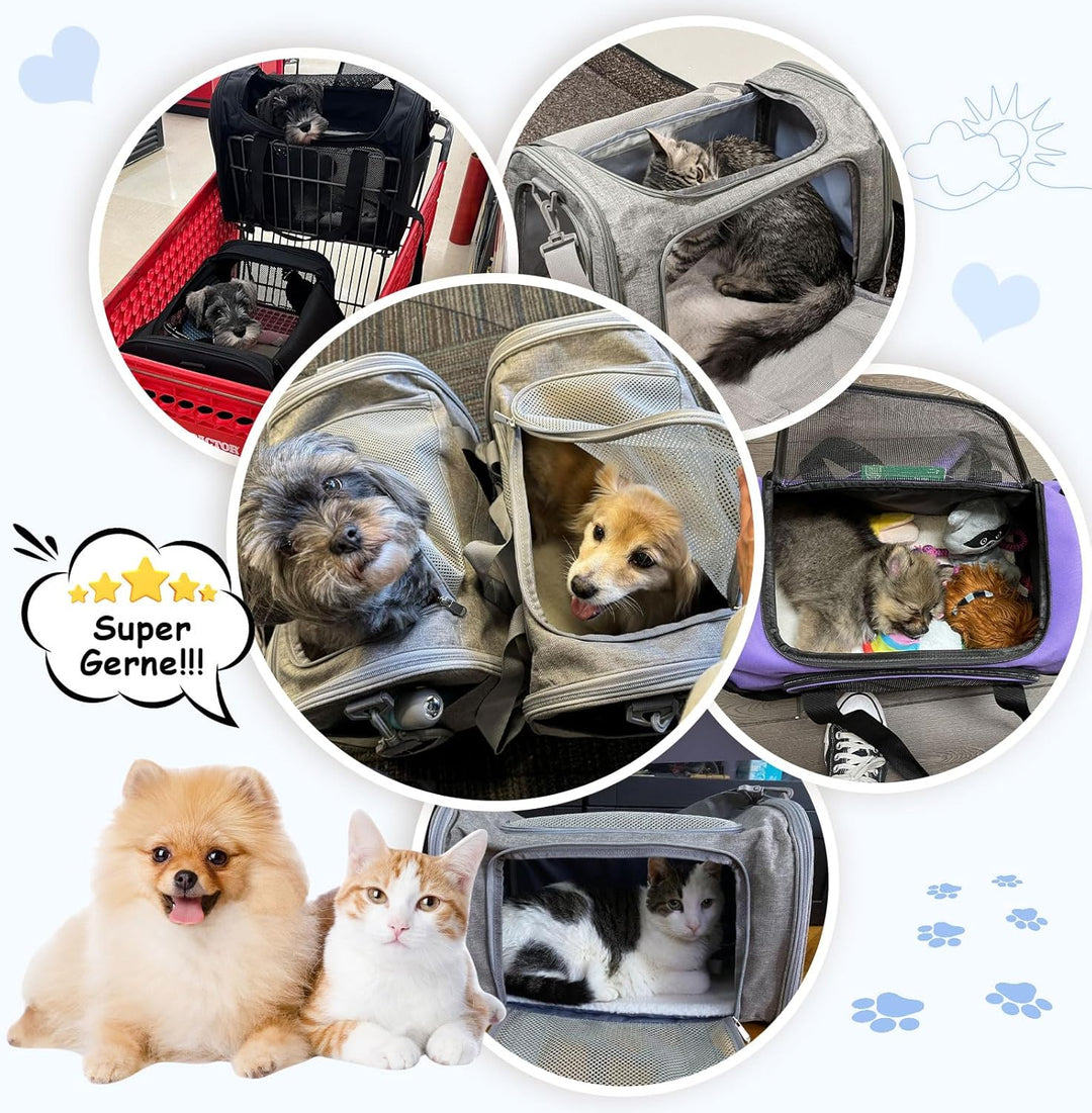 TOFFCAEA Transporttasche für Katze Hund, Hundetransportbox, Faltbare Katzentransportbox, tragbar, 5k