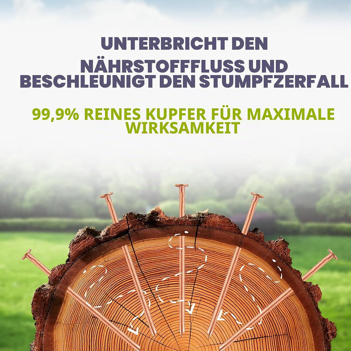 Kupfer Baumstumpf Killer/Massives Kupfer Schlagkraft Nägel - Eltern - 50 x 65mm, 50 x 65mm