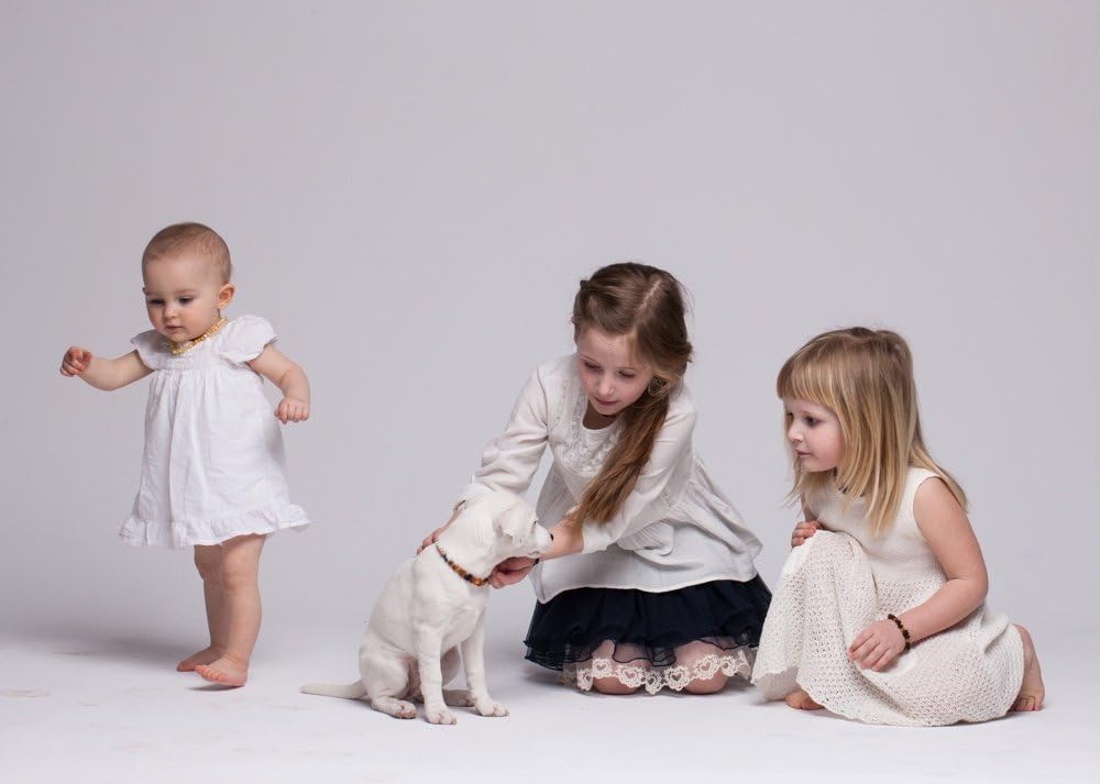 Bernsteinkette Hund, Bernstein Halsband Hund, Zeckenschutz Katze & Hunde, 100% Baltischer Bernstein