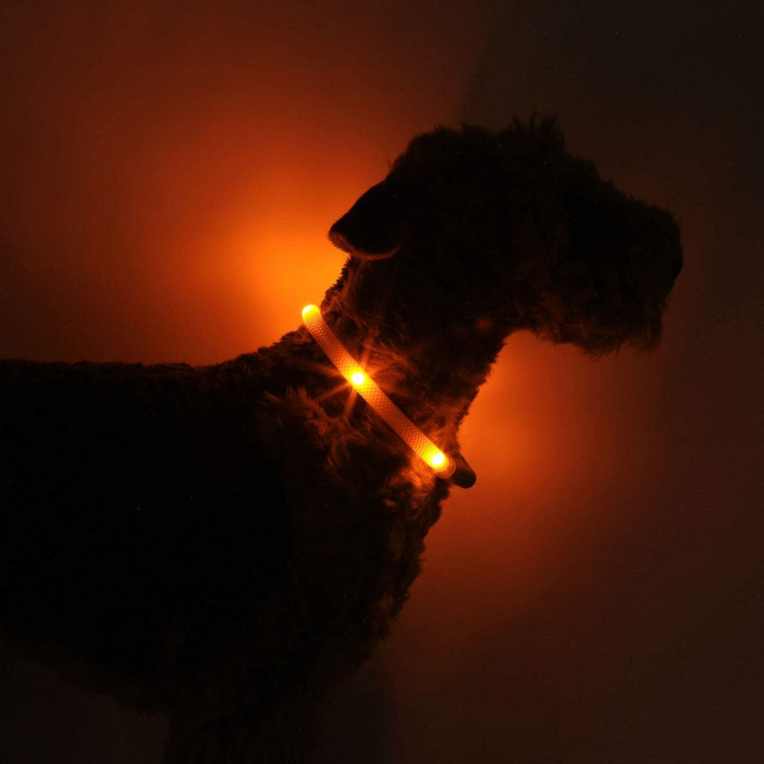 LEUCHTIE® Leuchthalsband Easy Charge Sunset orange Grösse 50 I USB aufladbar I LED Halsband für Hund