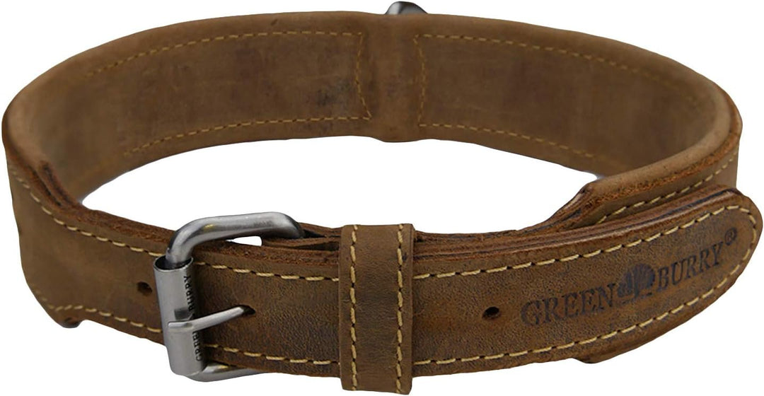 Greenburry Vintage 1609-25 Leder Hundehalsband XL