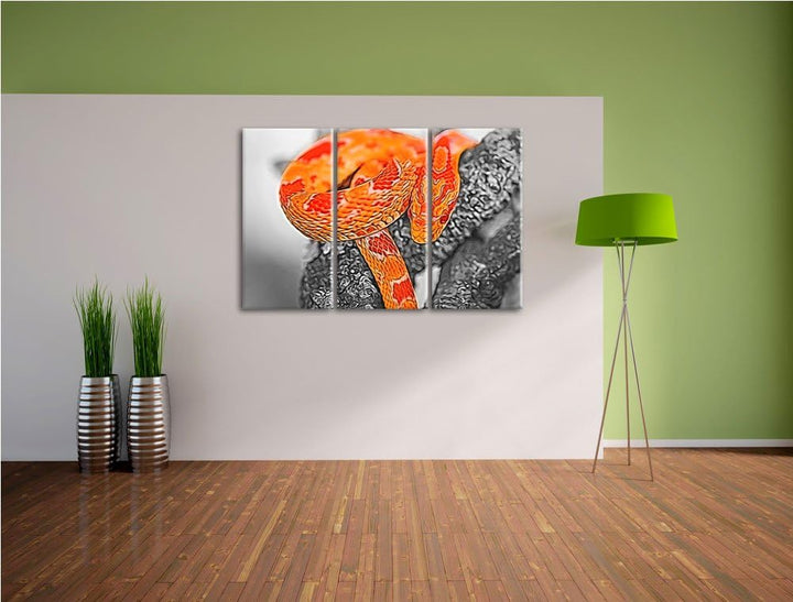 schöne ruhende Kornnatter schwarz/weiss Deluxe 3-Teiler Leinwandbild 120x80 Bild auf Leinwand, XXL r