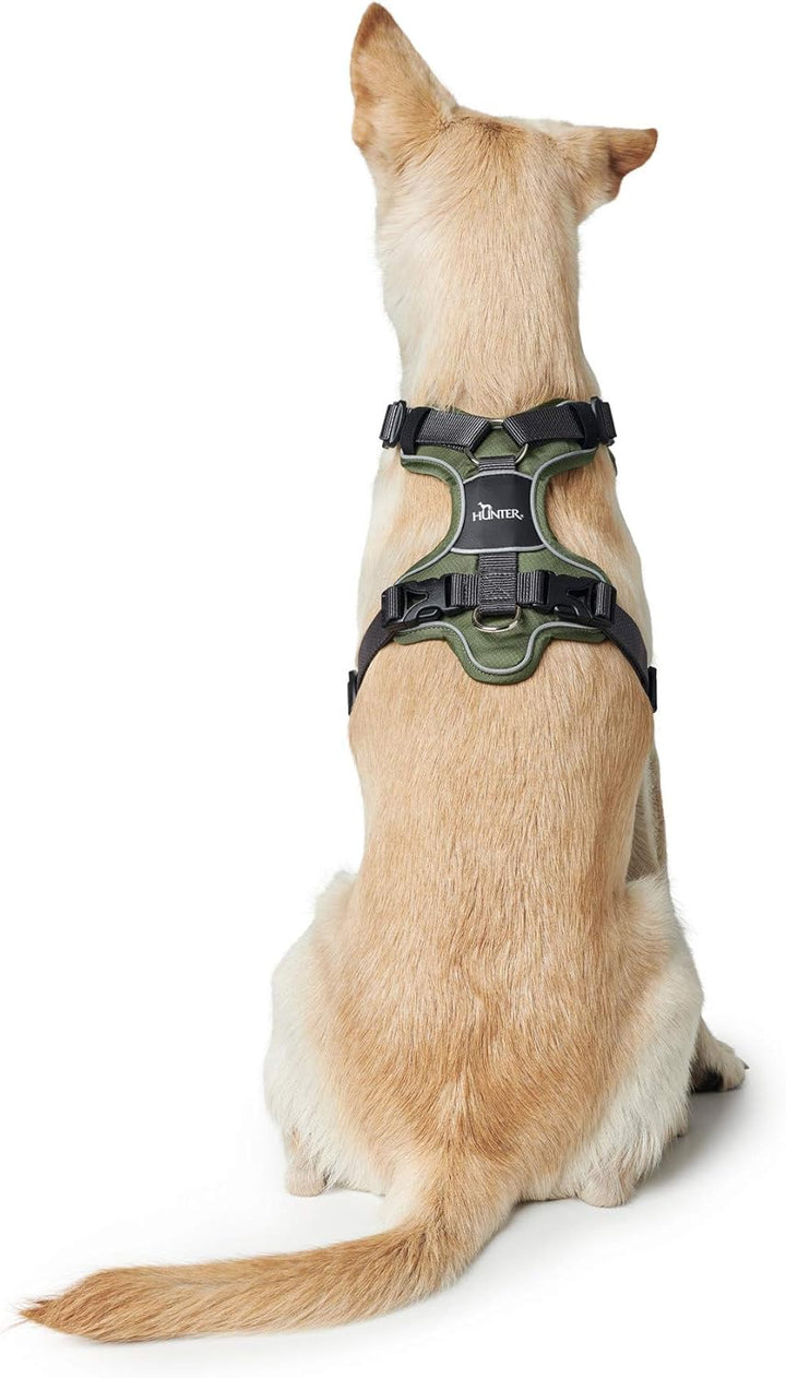 HUNTER DIVO Hundegeschirr, L-XL, 79-107 cm, gün/grau 79 - 107 cm grün/grau, 79 - 107 cm grün/gr
