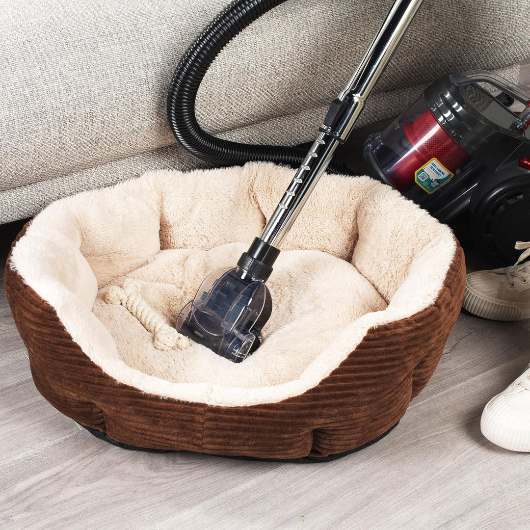 Beldray BEL0700TBVDE kompakter Zylinder-Staubsauger – PET Plus+ beutelloser Vac, leichter Teppichrei