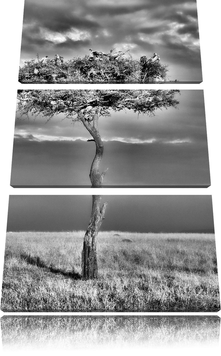 Pixxprint Geierschwarm in der Savanne als Leinwandbild/Grösse: 3 Teilig (120x80) cm/Wandbild/Kunstdr