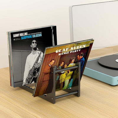 HIIMIEI Schallplatten Aufbewahrung, Acyrl Abnehmbar Schallplattenständer | Schallplattenregal mit 12