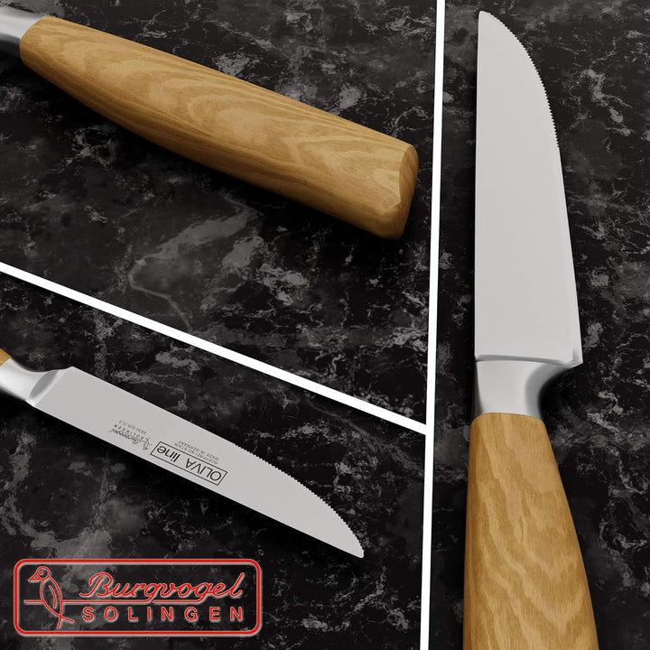 Burgvogel Solingen Steakmesser 12 cm geschmiedet Olivenholz, Oliva Line, Sägeschliff, rostfrei, hell
