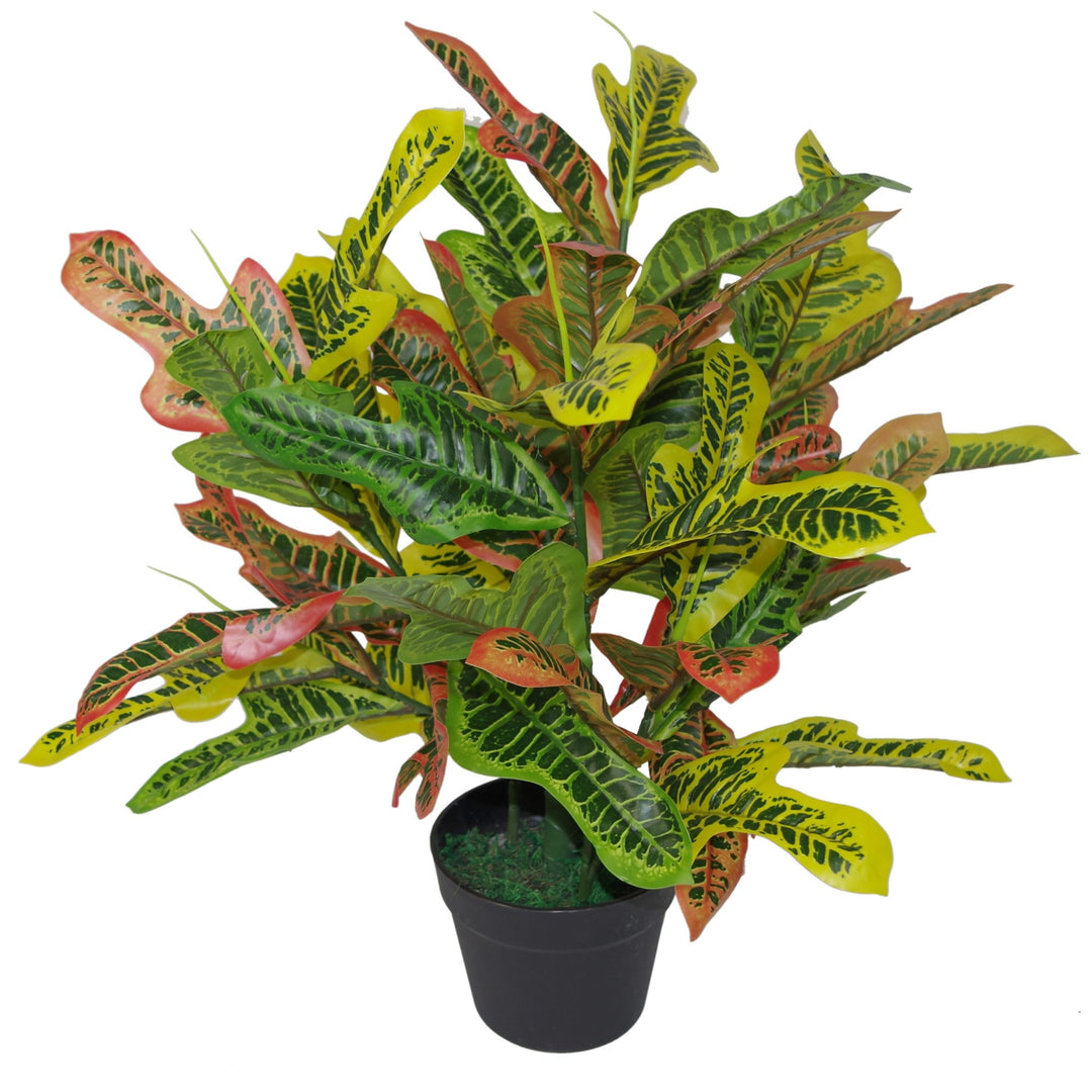 Leaf Kunstpflanze für Kodiäum, 65 cm, Mehrfarbig 65cm Codiaeum 65cm Codiaeum, 65cm Codiaeum 65cm Cod