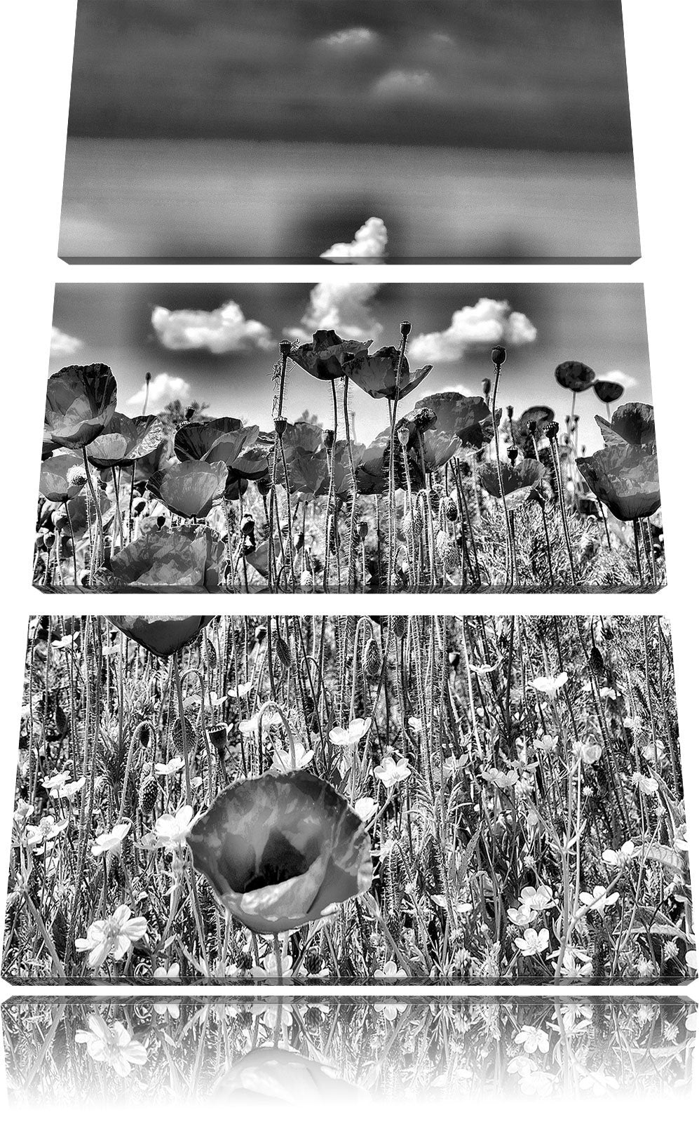 Pixxprint Mohnwiese als Leinwandbild/Grösse: 3 Teilig (120x80) cm/Wandbild/Kunstdruck/fertig bespann