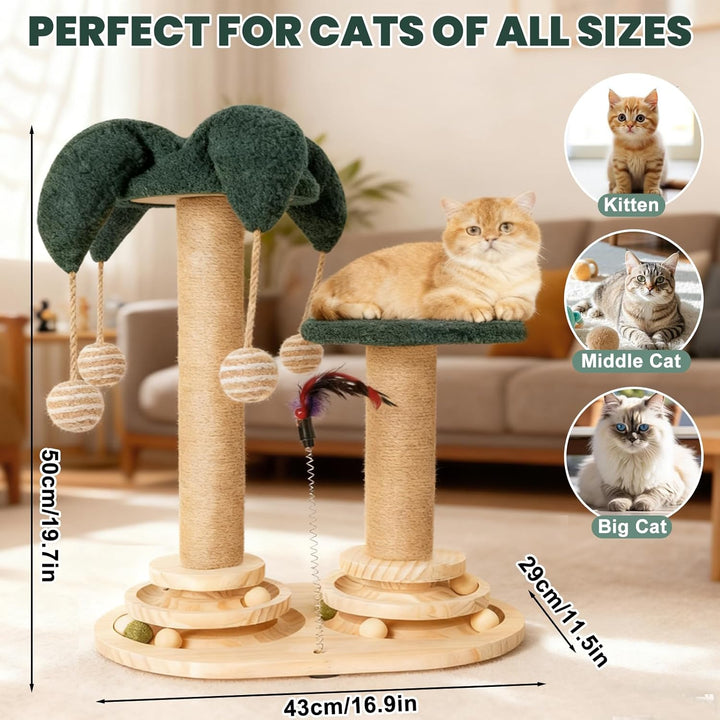 6-in-1 Katzenspielzeug Selbstbeschäftigung Holz, Kratzspielzeug für Katzen, Spielzeug mit Katzenminz