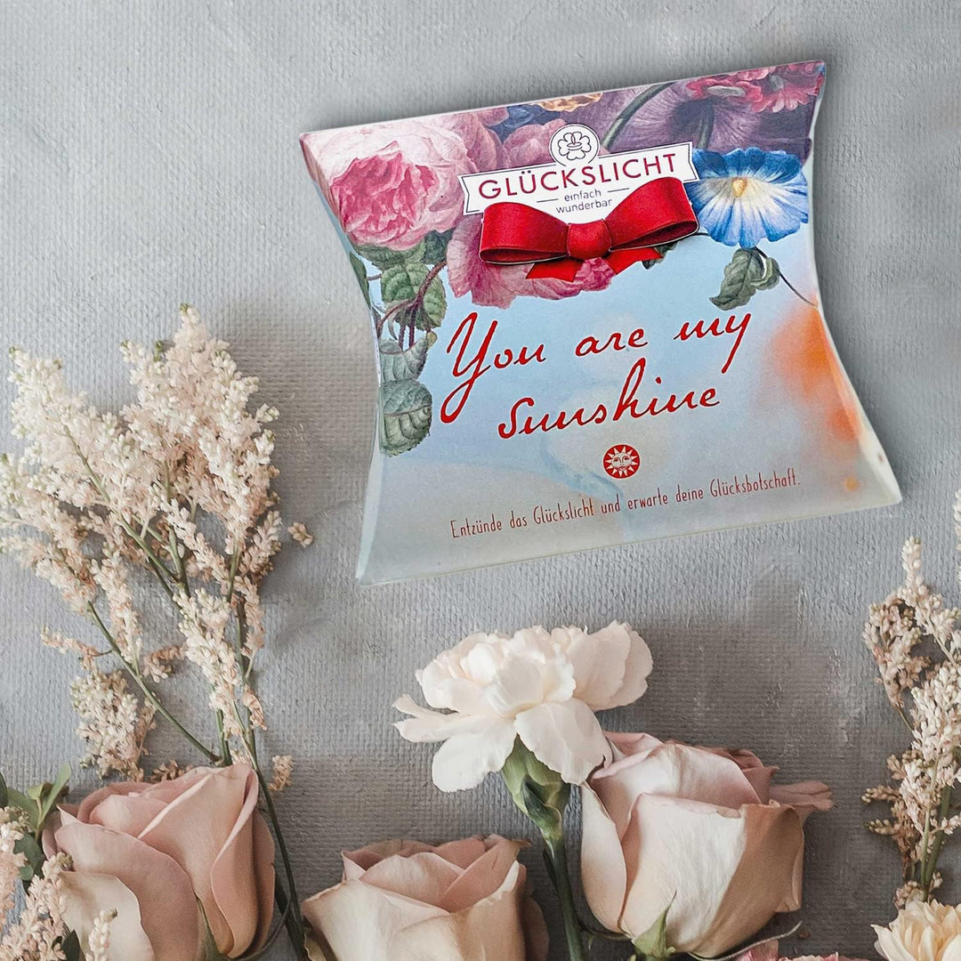 Glückslicht/Vintage/You are my sunshine / 10er-Set