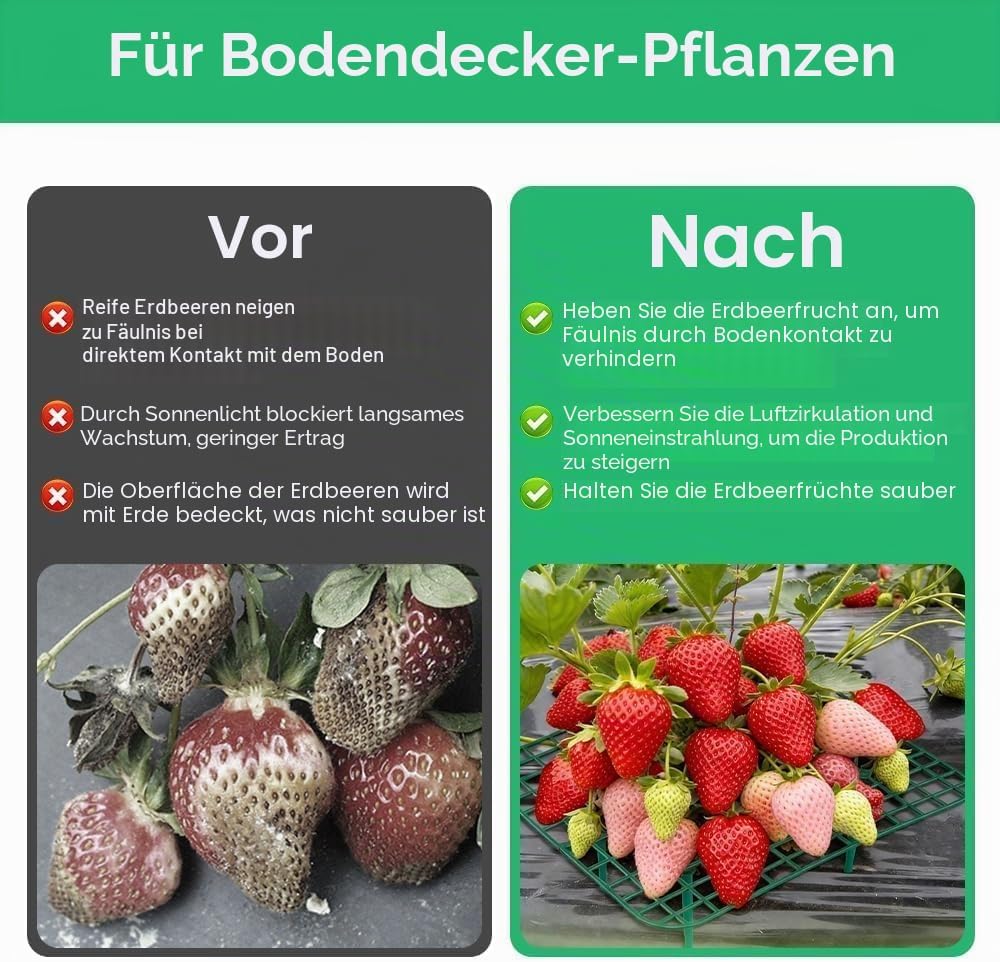 10 Stück Erdbeerstützen Ständer, Erdbeeren Schutz Quadratisch Erdbeerreifer Erdbeerregal Abnehmbares