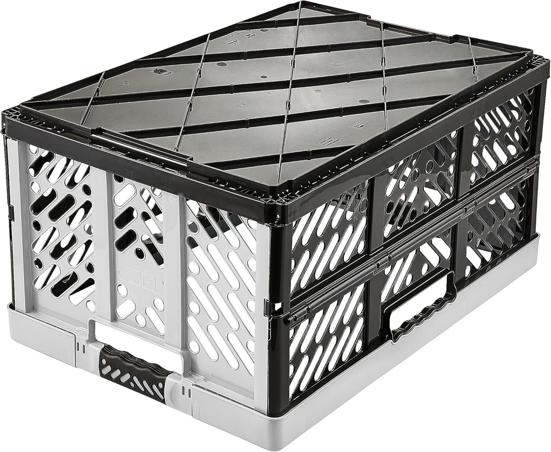 keeeper 2x Stabile Profi-Klappboxen mit Soft-Touch Griffen, 54 x 37 x 28 cm, 45 l, Ben, Hellgrau Hel