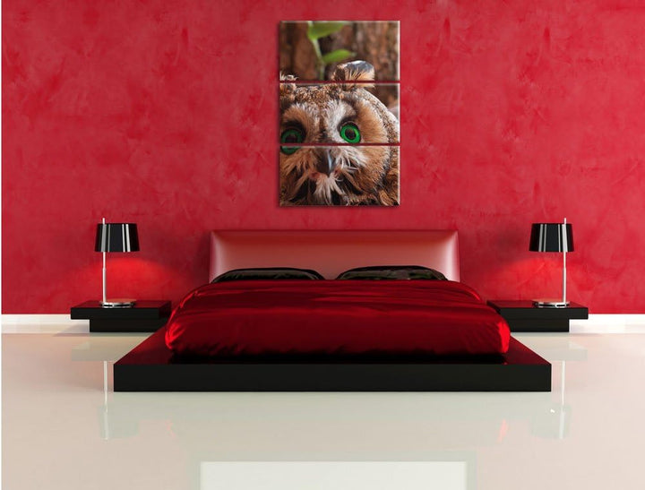 Pixxprint Kleine Eule grüne Augen als Leinwandbild/Grösse: 3 Teilig (120x80) cm/Wandbild/Kunstdruck/