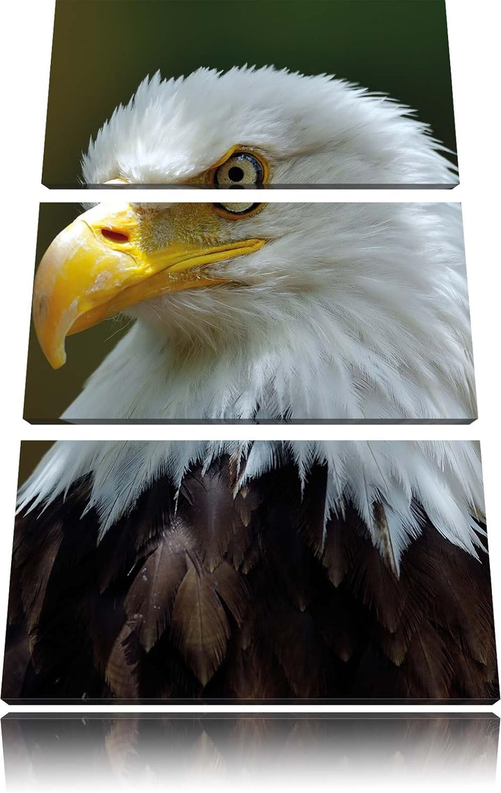 Pixxprint Niedliches Känguru als Leinwandbild/Grösse: 3 Teilig (120x80) / Wandbild/Kunstdruck/fertig