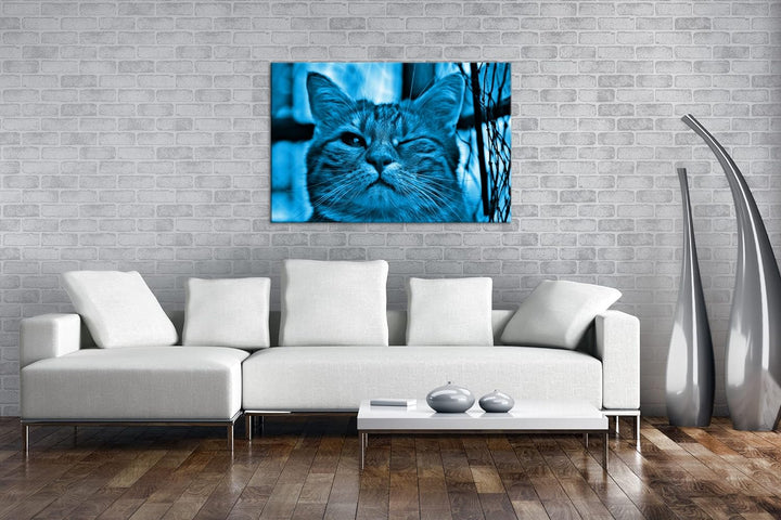 deyoli zwinkernde Katze Format 80x60 Effekt: Monocrome Blau als Leinwandbild, Motiv fertig gerahmt a