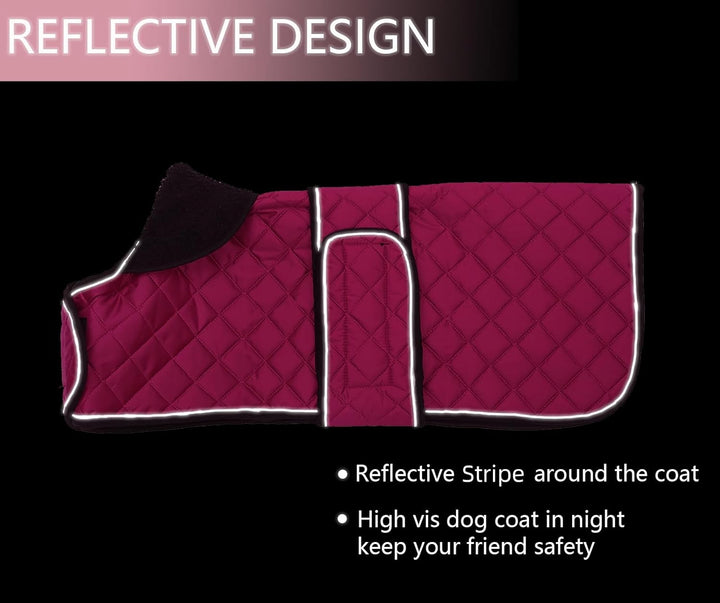 MOREZI Hundemantel Winter für Dackel - Wasserdichter Hunde Pullover mit Wolle Futter & Verstellbaren