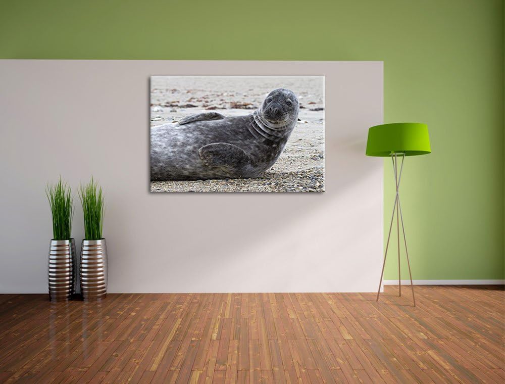 dunkle Robbe entspannt an Kiesstrand Leinwand, XXL riesige Bilder fertig gerahmt mit Keilrahmen, Kun