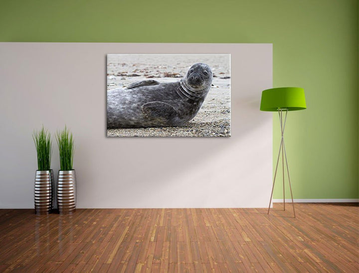 dunkle Robbe entspannt an Kiesstrand Leinwand, XXL riesige Bilder fertig gerahmt mit Keilrahmen, Kun