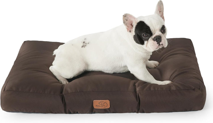 BEDSURE Hundekissen kleine Hunde waschbar - 76x50cm hundematratze wasserdicht M für kleine, mittelgr