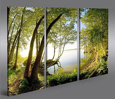 islandburner Bild Bilder auf Leinwand Treelake V2 Baum am See 3p XXL Poster Leinwandbild Wandbild De