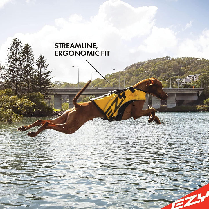 EzyDog Schwimmweste Hund – Premium Schwimmhilfe für kleine, mittlere &amp; grosse Hunde – DFD X2 Boost R