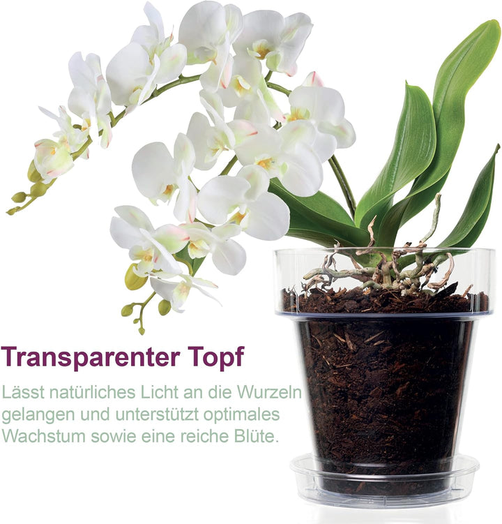 Kalapanta Orchideen-Umtopf 3er-Set: 3 Durchsichtiger Blumentopf mit Drainagelöchern, 3 Untertasse un