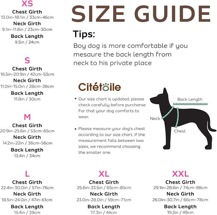 CITÉTOILE Schwimmweste Hunde Hai, Leicht und Sicher für Wassersport, hundeschwimmweste mit Griff und