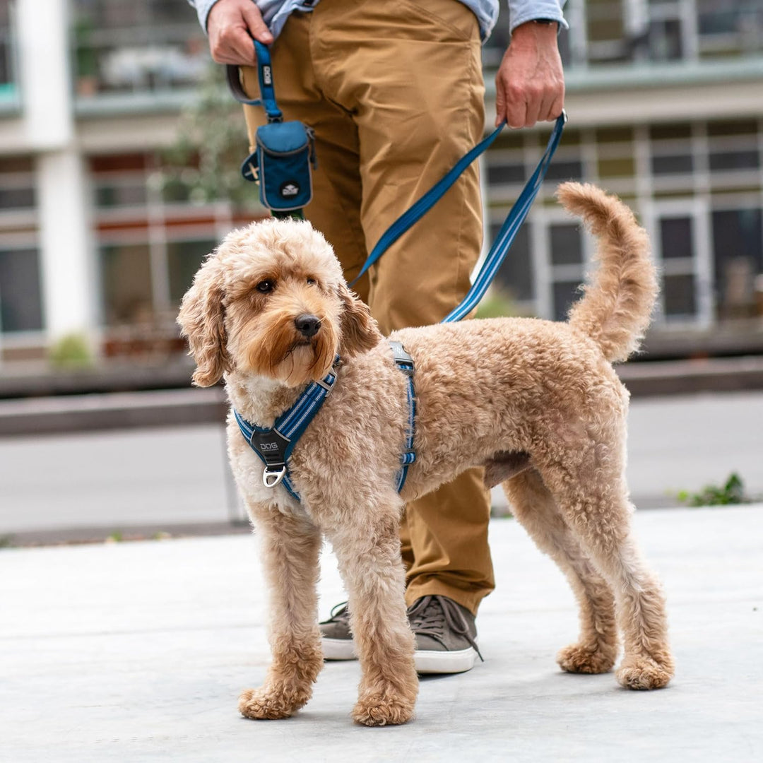 DOG Copenhagen Comfort Walk Air 3.0 Hundegeschirr - Geschirr für Hunde - Welpengeschirr, Lemon, M Le