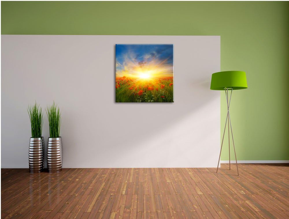 Pixxprint Mohnwiese in der Sonne als Leinwandbild Quadratisch/Grösse: 70x70 / Wandbild/Kunstdruck/fe