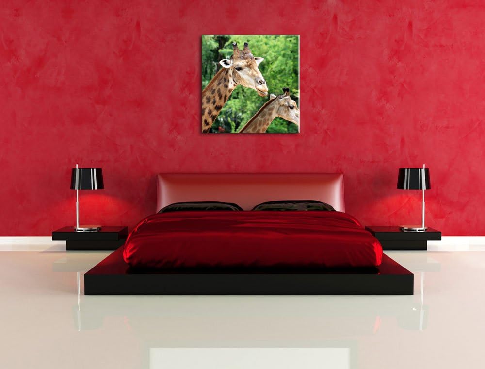 Pixxprint Giraffen, Format: 70x70 auf Leinwand, XXL riesige Bilder fertig gerahmt mit Keilrahmen, Ku