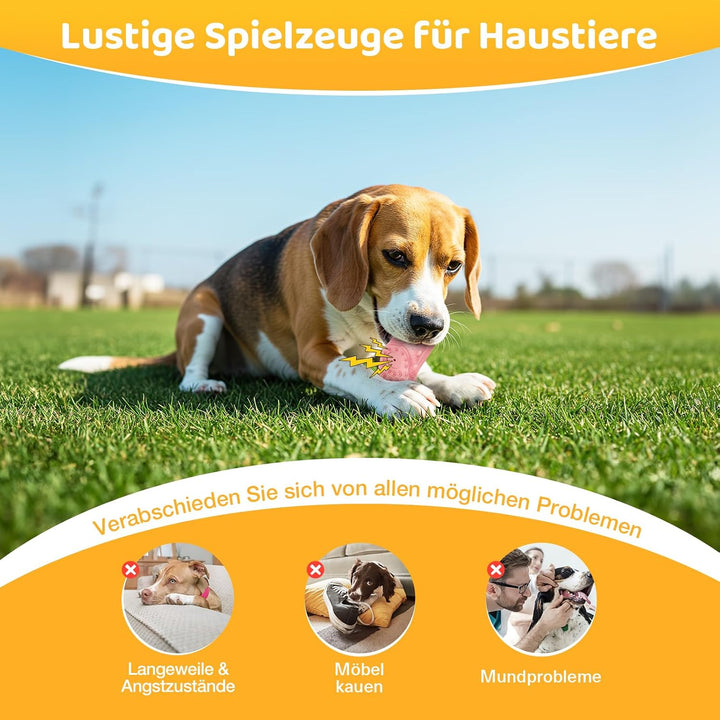 RUXAN Hundespielzeug, Saubere Hundezähne, Hundespielzeug, Kauspielzeug aus Naturkautschuk für Kleine