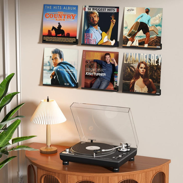 HIIMIEI Vinyl Schallplatten Wandhalterung 6 er für Platten und Fotos, 30,5 x 4,3 x 4,5 cm Schallplat