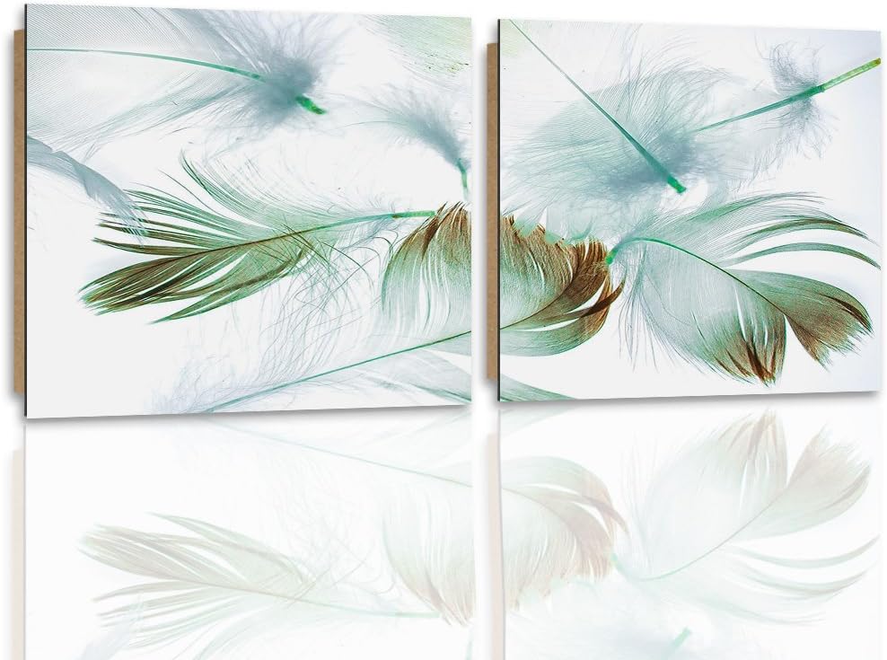 Feeby. Wandbilder - 2 Teile - 120x60 cm - quadratische Form Bilder Kunstdrucke Deko Panel FEDERN, WE