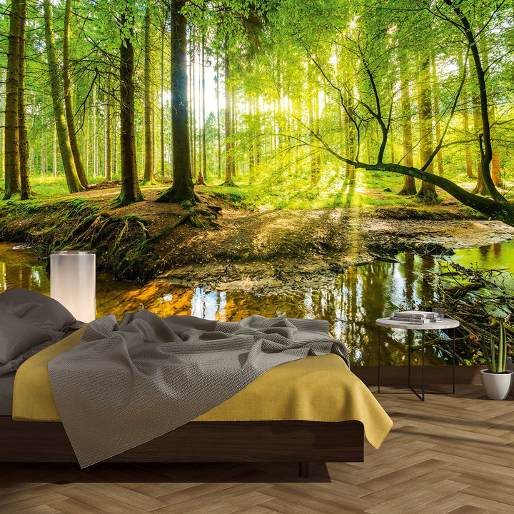 murimage Fototapete Wald 366 x 254 cm inklusive Kleister Bäume Holz Sonne Natur Schlafzimmer Wohnzim