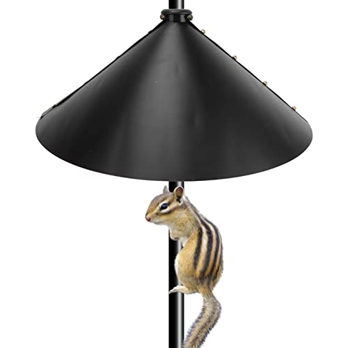 Eichhörnchen Schallwand 2 Stück Eichhörnchen Klappe universelle Eichhörnchen sichere Schallwand Voge
