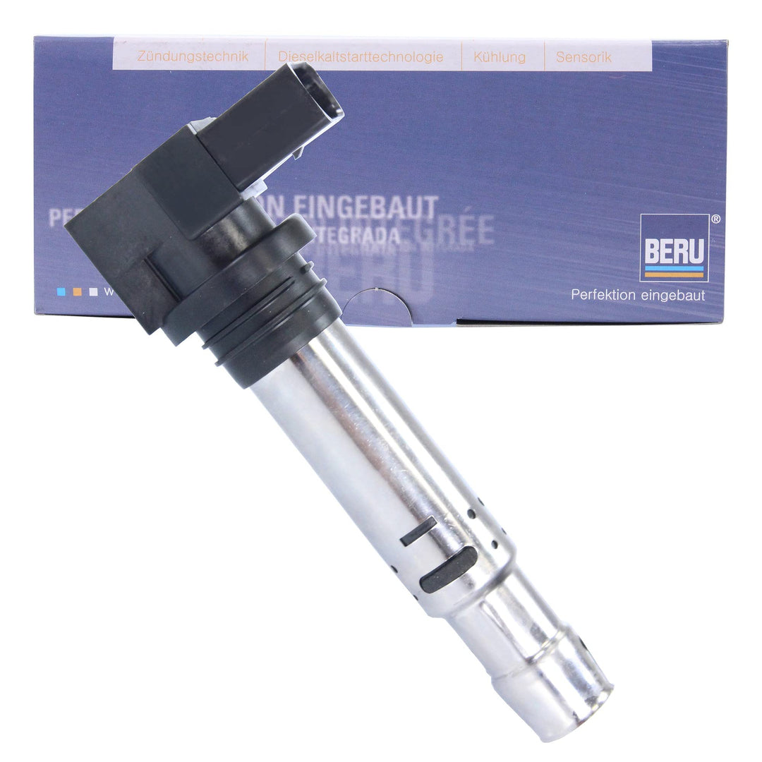 Beru AG 0040102030 Zündspule