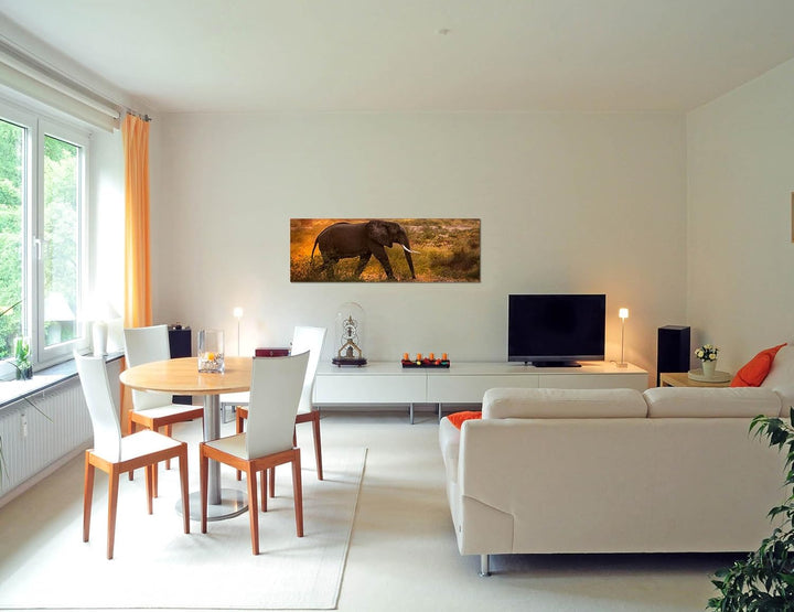 Paul Sinus Art Panoramabild auf Leinwand und Keilrahmen 120x40cm Wiese Bäume Elefant Morgensonne
