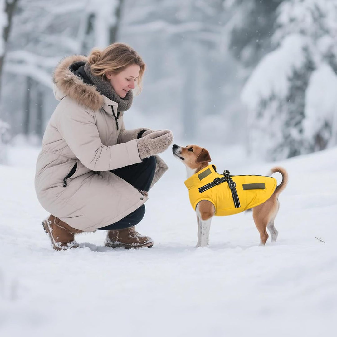 Hunde Winterjacken,Warme Hundemäntel Reflektierend Hundekleidung wasserdichte Welpenweste für kaltes