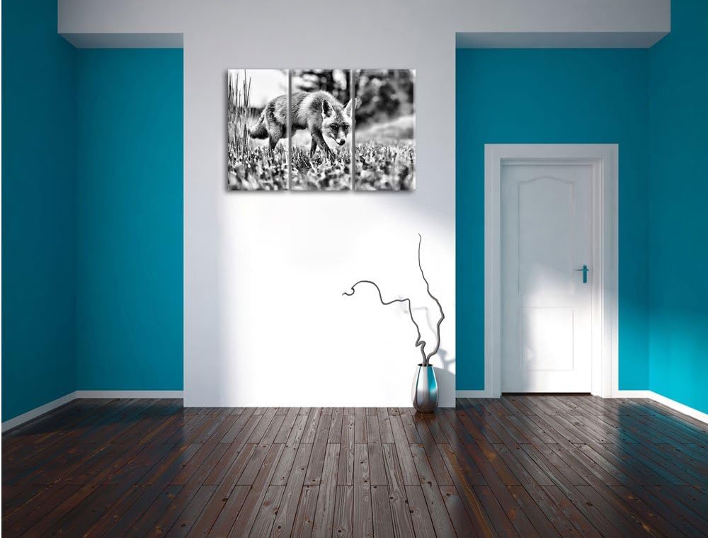 Pixxprint Schöner Fuchs als Leinwandbild/Grösse: 3 Teilig (120x80) / Wandbild/Kunstdruck/fertig besp