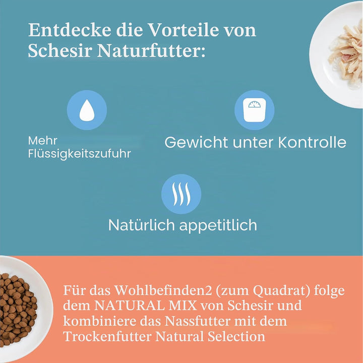 Schesir , Nassfutter für ausgewachsene Katzen mit Thunfischgeschmack, Filets und Weichgelee — Insges