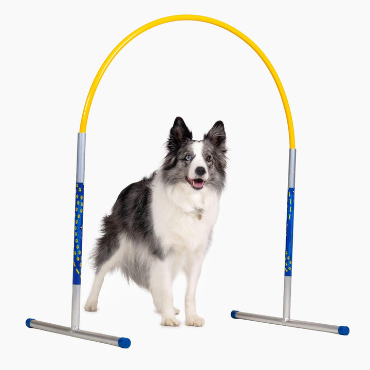 Callieway Hoopers Agility Hoops aus Aluminium, 6er Set ohne Mittelstrebe, frei formbar & universell