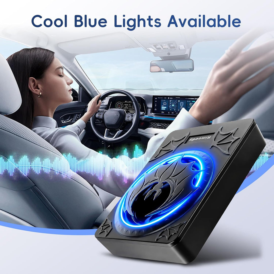 Rimoody 10 Zoll Flachbau Aktiv-Subwoofer für Auto - 1200W RMS, Bass Boost, Phasenregler, Unterbausit