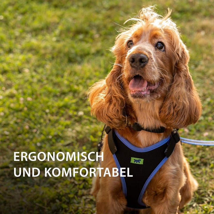 Ferplast Hundegeschirr mittlegrosse Hunde Geschirr Hunde mit Polsterung ERGOCOMFORT M, Halsumfang: 3