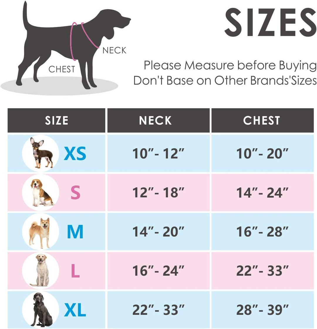 Phoepet Anti-Zieh-Hundegeschirr, reflektierend, verstellbar, mit Trainingsgriff, Namensausweisfach,