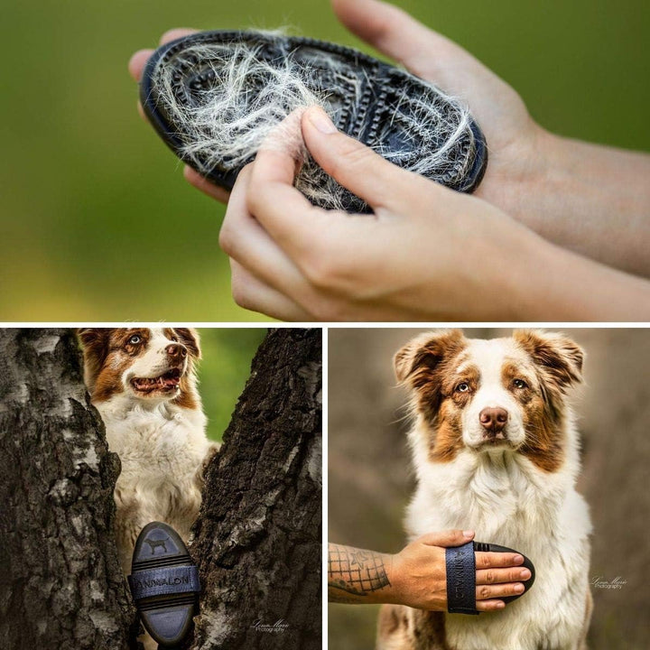 Animalon Kurzhaar-Striegel für Hunde| Fellwechsel-Helfer beim Hund | Striegel für Hunde mit Kurzhaar