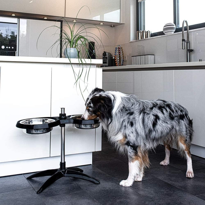PetTec® Hundenapf erhöht Grosse Hunde [2 x 2,5L, Schwarz] - Futternapf Fressnapf Hund erhöht - Futte