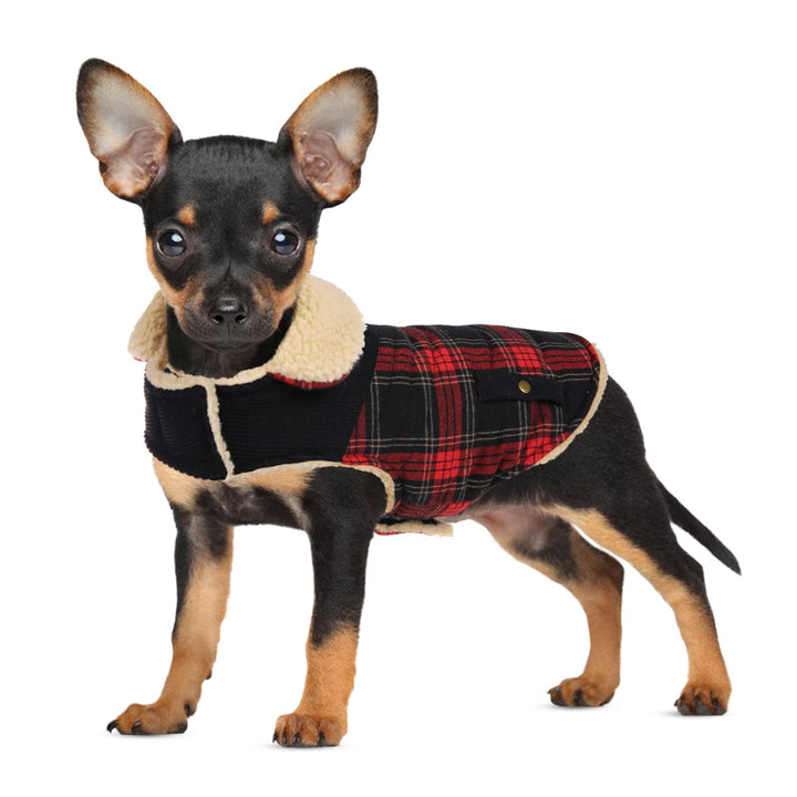 CITÉTOILE Hundemantel Kariert, Warmer Hunde Winterjacken Futter aus Fleece für kleine/grosse/mittler