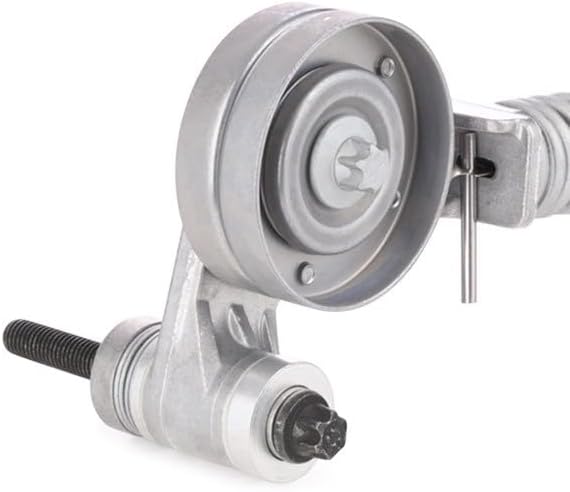 SKF VKMA35113 VKMA 35113 Spannrollensatz für Nebentrieb